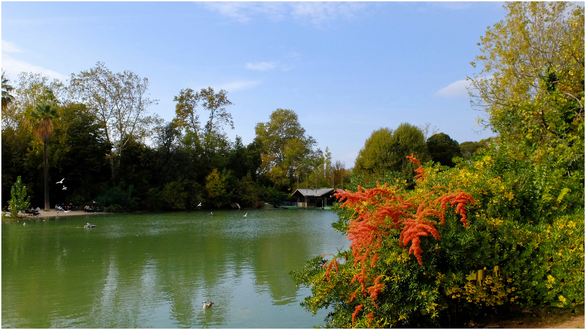 Légendes d'automne