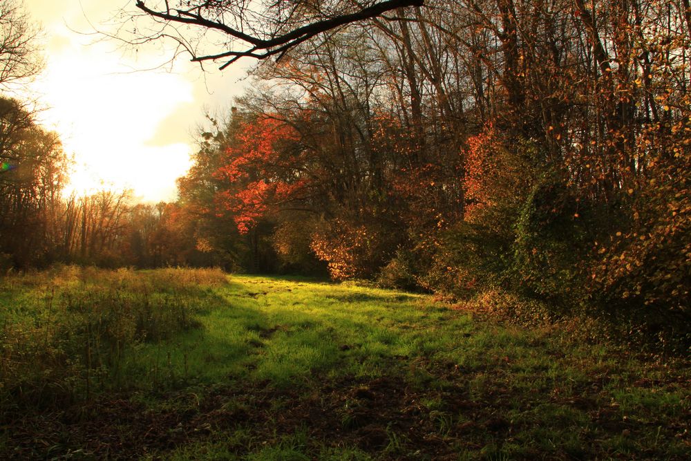 légendes d'automne