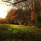 légendes d'automne