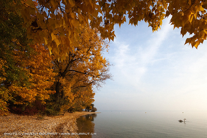 Légendes d'automne