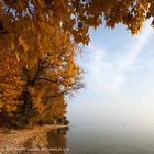 Légendes d'automne