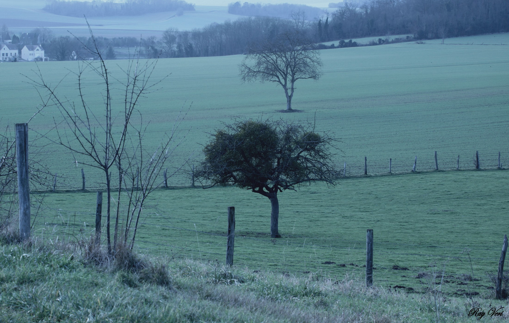 Legère Brume