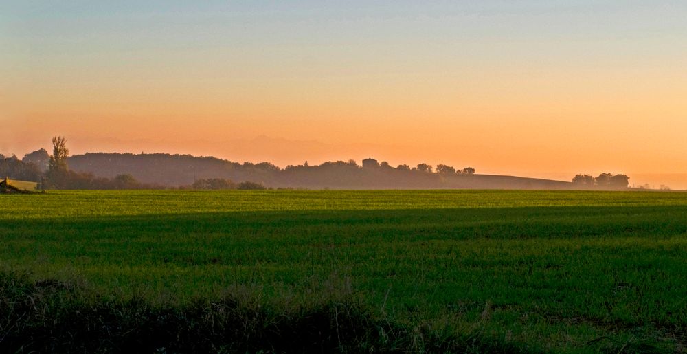 Légère brume matinale