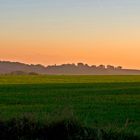 Légère brume matinale