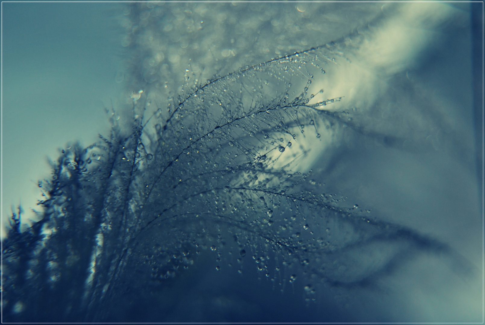 légèreté de la plume et de la goutte d'eau