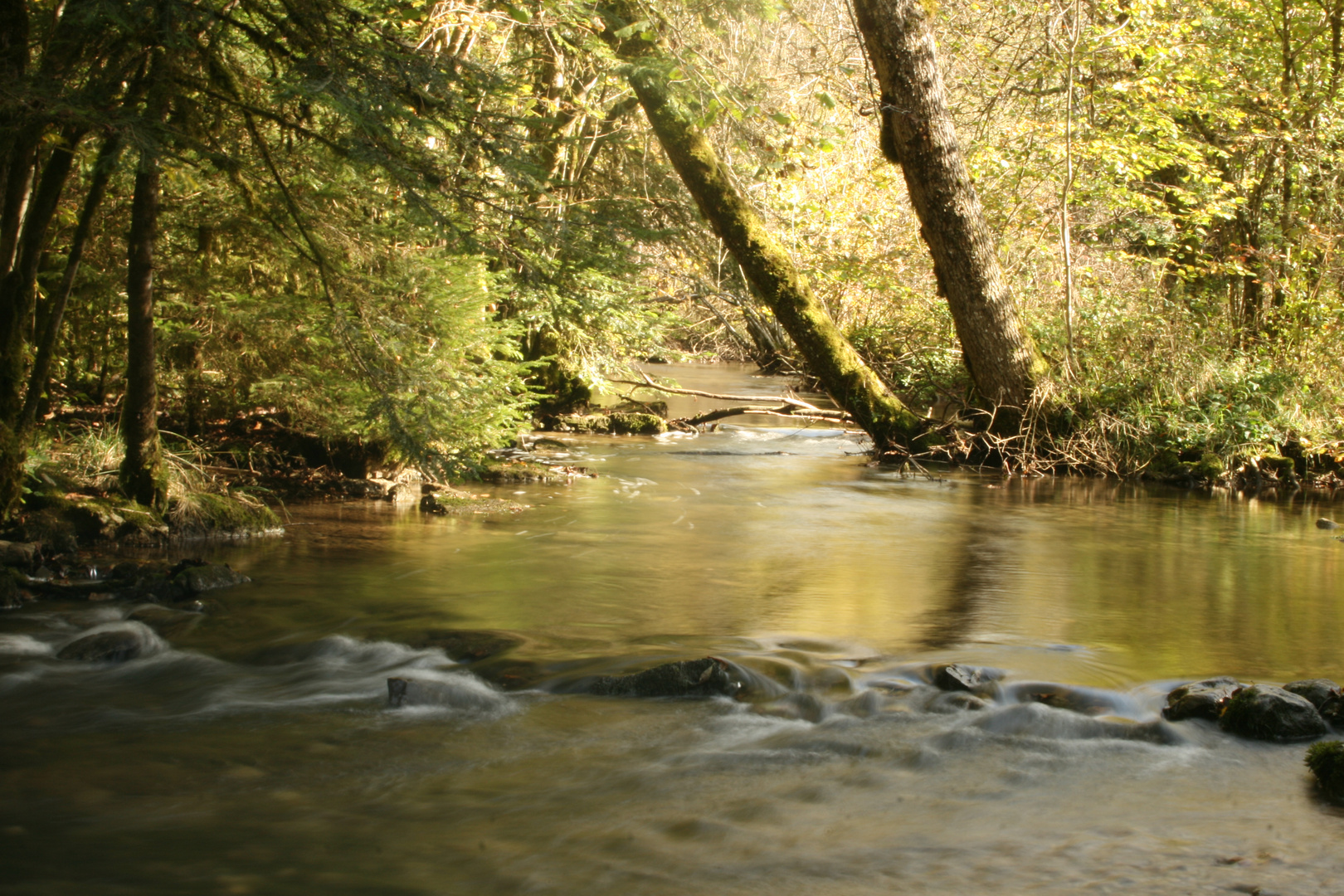 Légèreté de l'onde