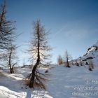 Leggeri spiriti invernali... (Val Chalamy, Parco Naturale del Mont Avic, Valle d'Aosta - Vallée d'Ao