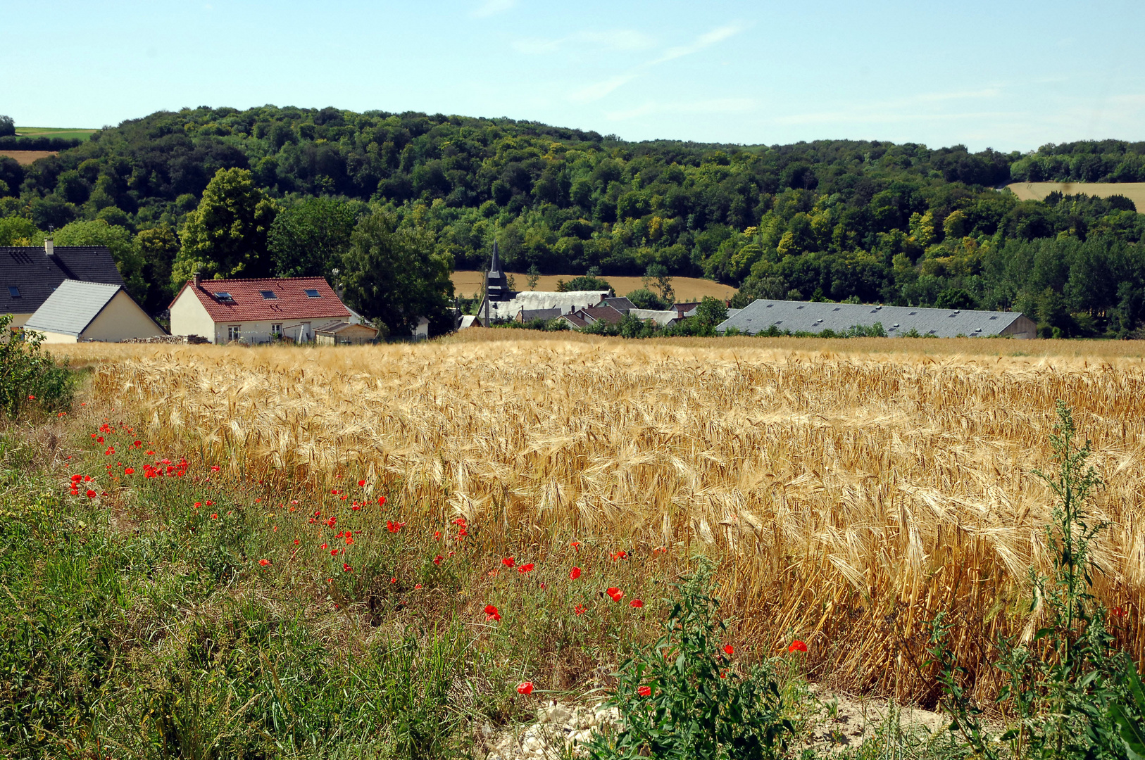 l'église de bergicourt (80) coincé dans la vallée verte et jaune de l'orge!