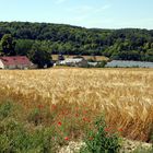 l'église de bergicourt (80) coincé dans la vallée verte et jaune de l'orge!