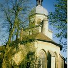 L'église de Saint-Amour (Jura)