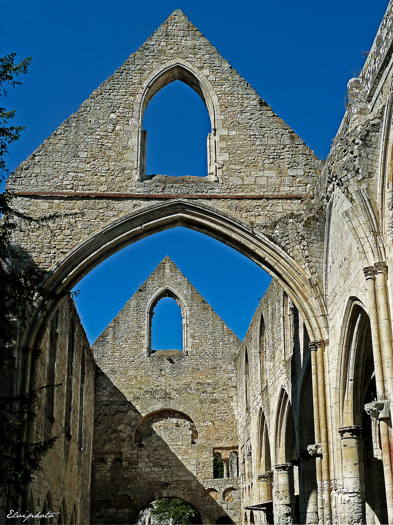 L'église St Pierre ( Jumièges)