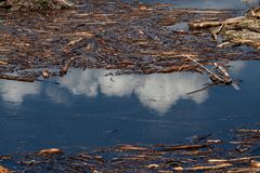 Legna, lago e nuvole