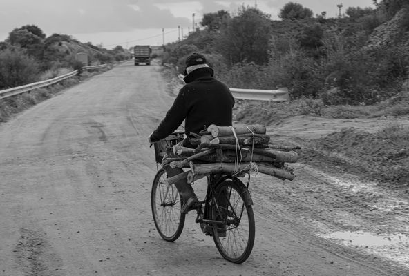 Legna per il focolare 