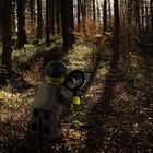 Legomännchen im Wald (1 von 1)