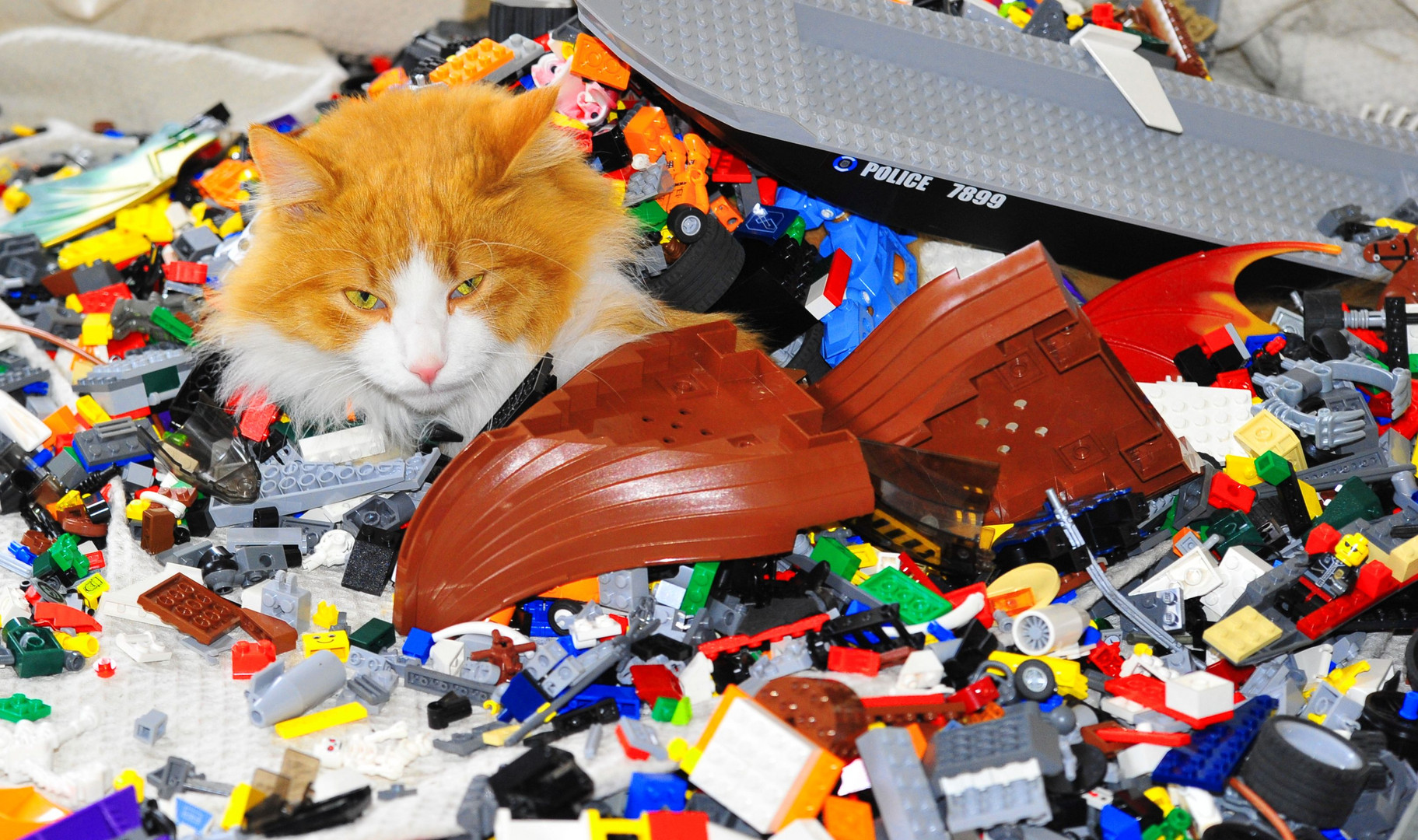 Legotiger