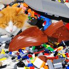 Legotiger