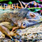 Leguan fractalisiert