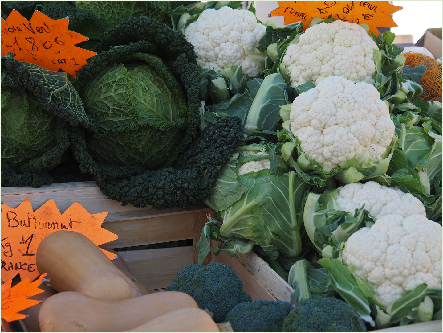 Légumes d’automne