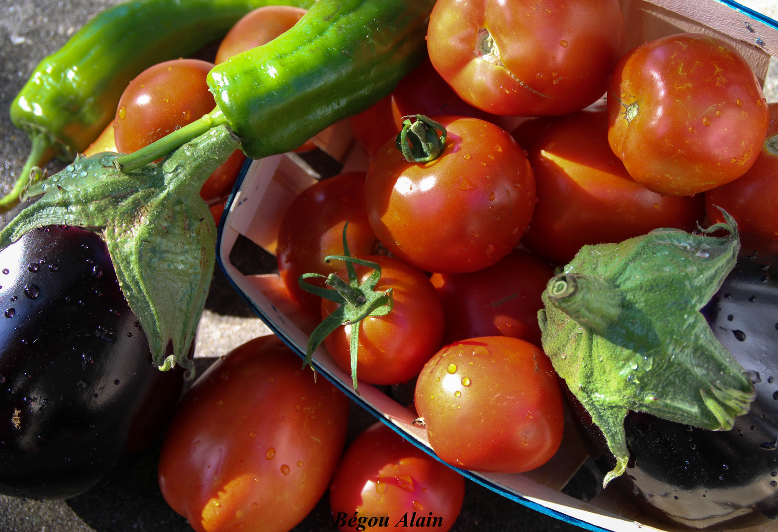 Légumes de saison