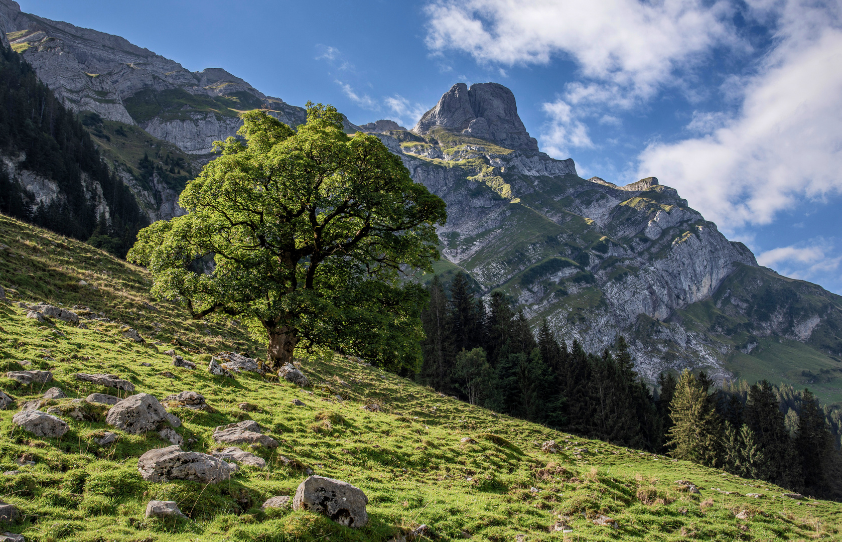 Lehmenalp im Alpsteingebiet