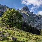 Lehmenalp im Alpsteingebiet