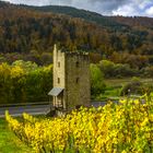 Lehmer Turm im Herbst