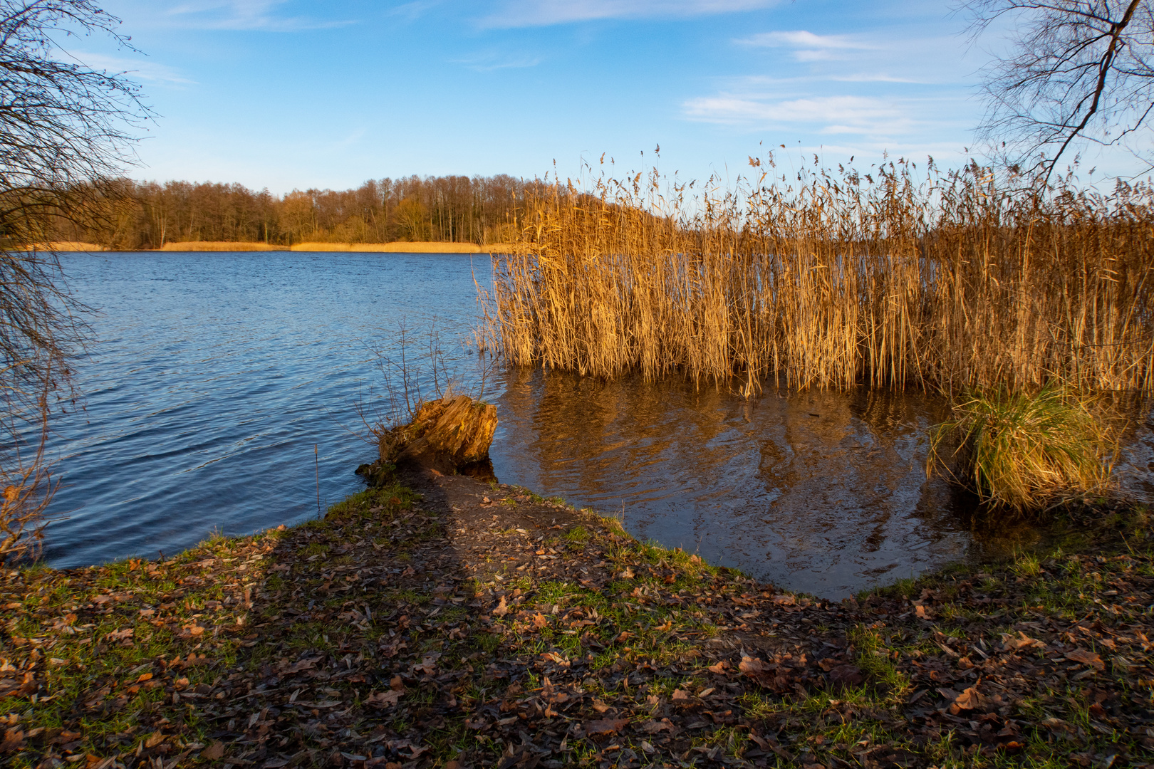 Lehnitzsee