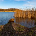 Lehnitzsee