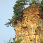 Lehoffelsen bei Quedlinburg