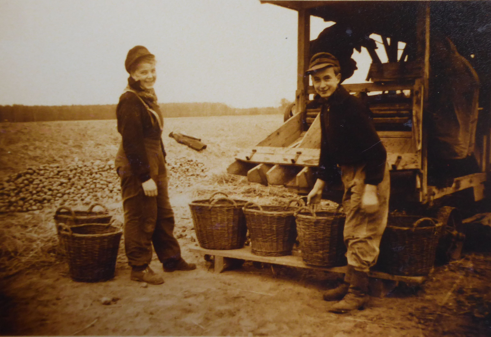 Lehrlinge in der Landwirtschaft