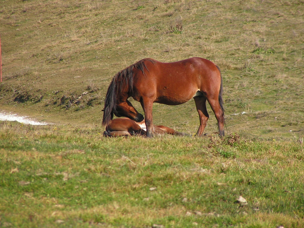 Lei e il piccolino