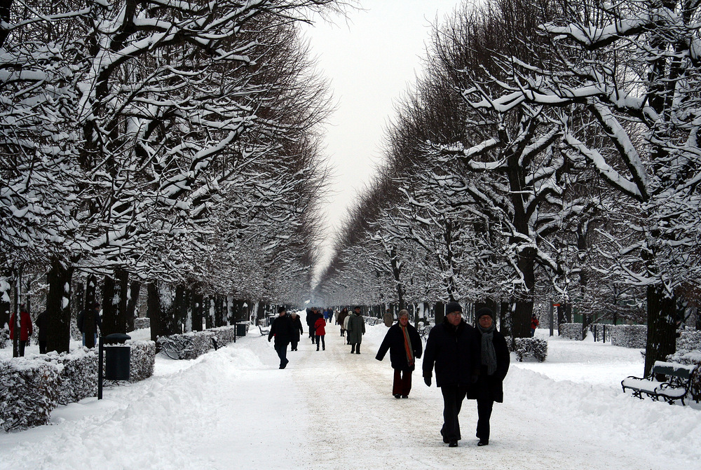 Leibesertüchtigender Winterspaziergang im Schlosspark Schönbrunn