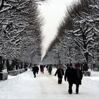 Leibesertüchtigender Winterspaziergang im Schlosspark Schönbrunn