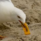 leibniz schmeckt jedem egal ob vogel oder kind :)