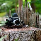 Leica im Wald