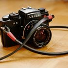 Leica R5 mit Gordy's