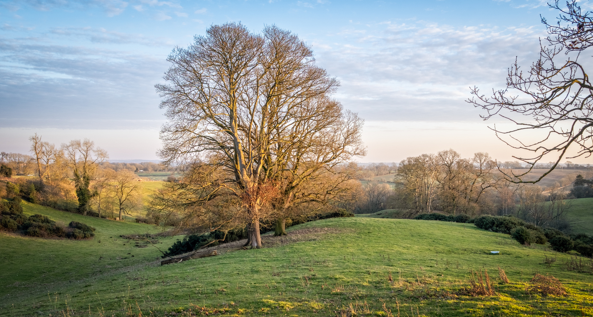 Leicestershire Landscape