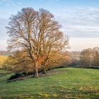 Leicestershire Landscape