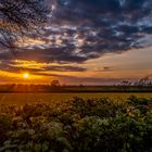 Leicestershire Landscape