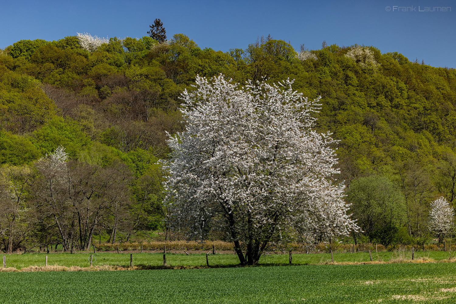 Leichlingen an der Wupper