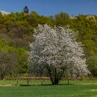 Leichlingen an der Wupper