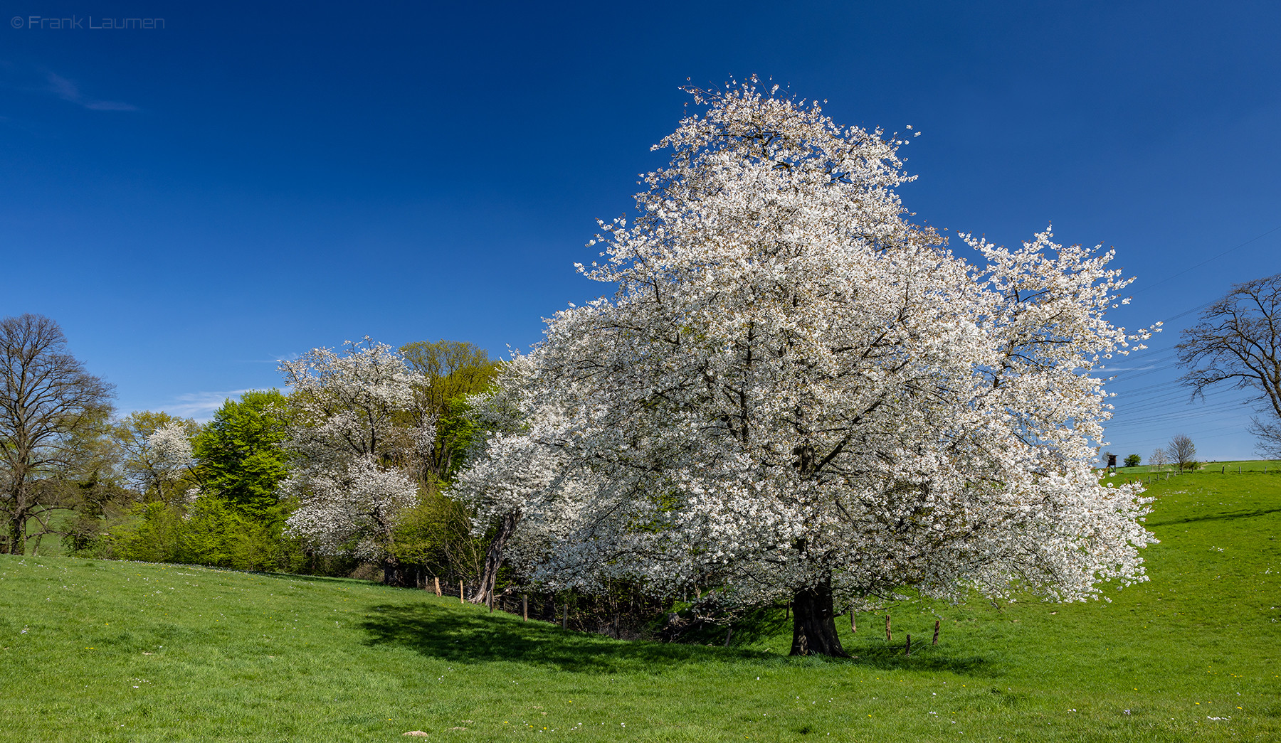 Leichlingen Grünscheid