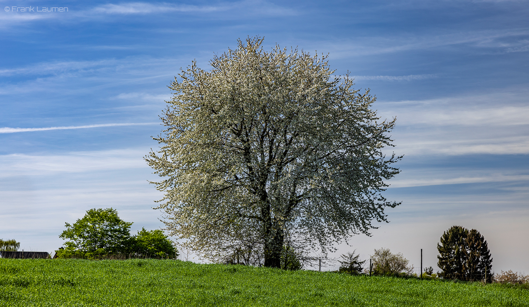 Leichlingen Hülstrung