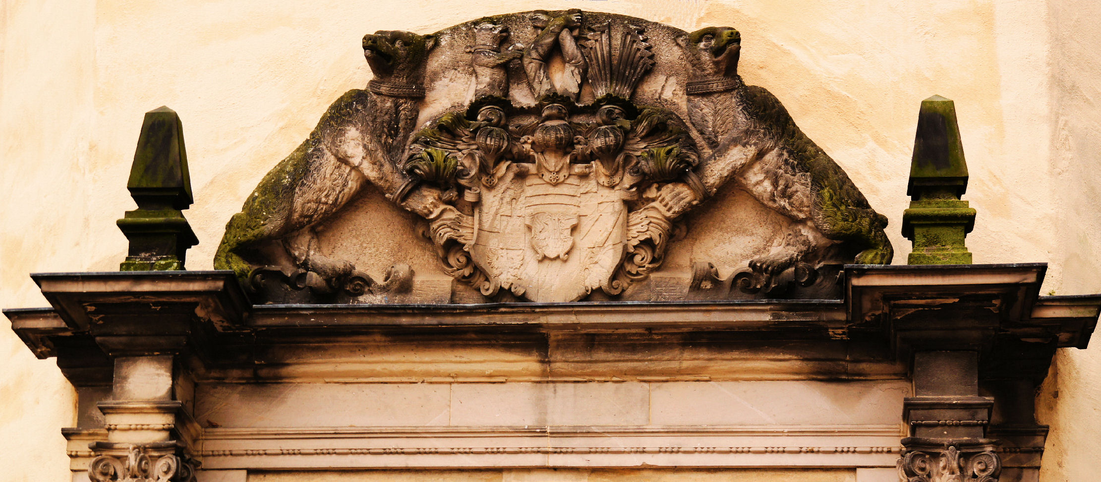 Leicht bemost am Schloss Köthen (Anhalt)