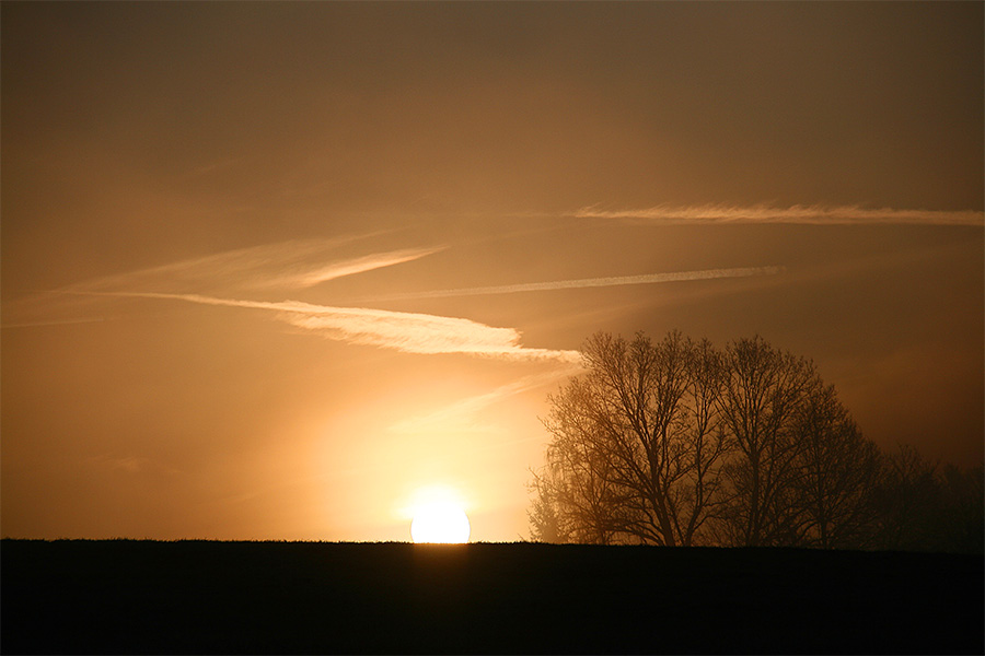 leicht benebelte Morgenstimmung