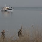 leicht diesig am strand....