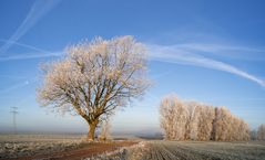 Leicht frostig