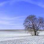 Leicht gepudert und gut gekühlt