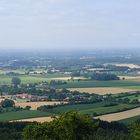 Leicht getrübt