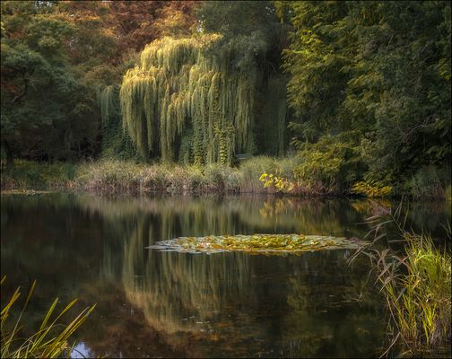 leicht herbstlich ...